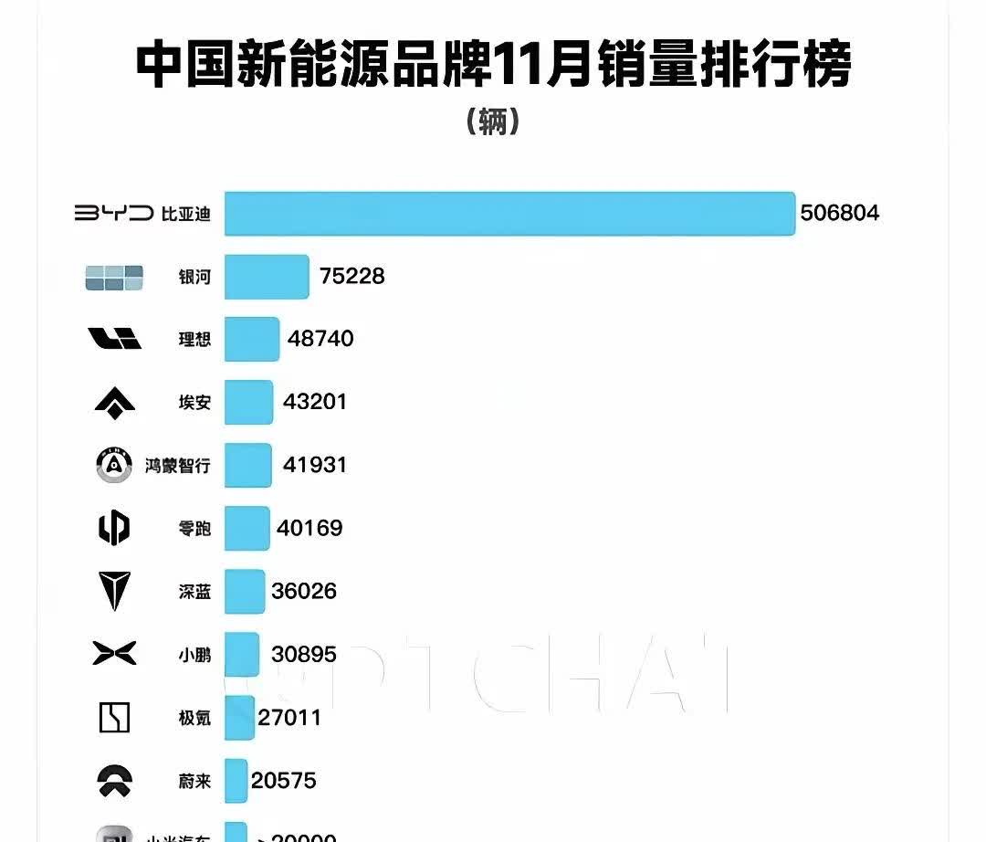 Q1亮眼！以色列八成电动车销量为中国品牌